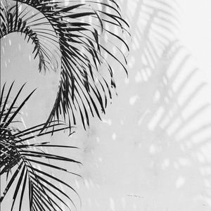 Meet your Posher, Bruna